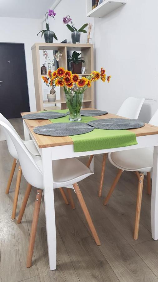 Năvodari Apartament Karina מראה חיצוני תמונה