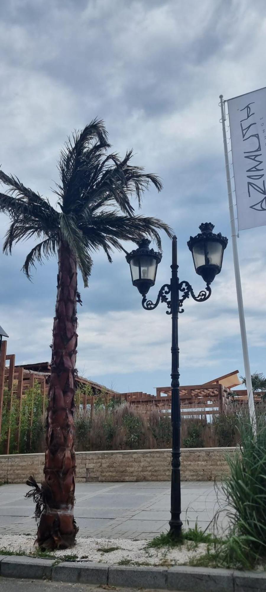Năvodari Apartament Karina מראה חיצוני תמונה