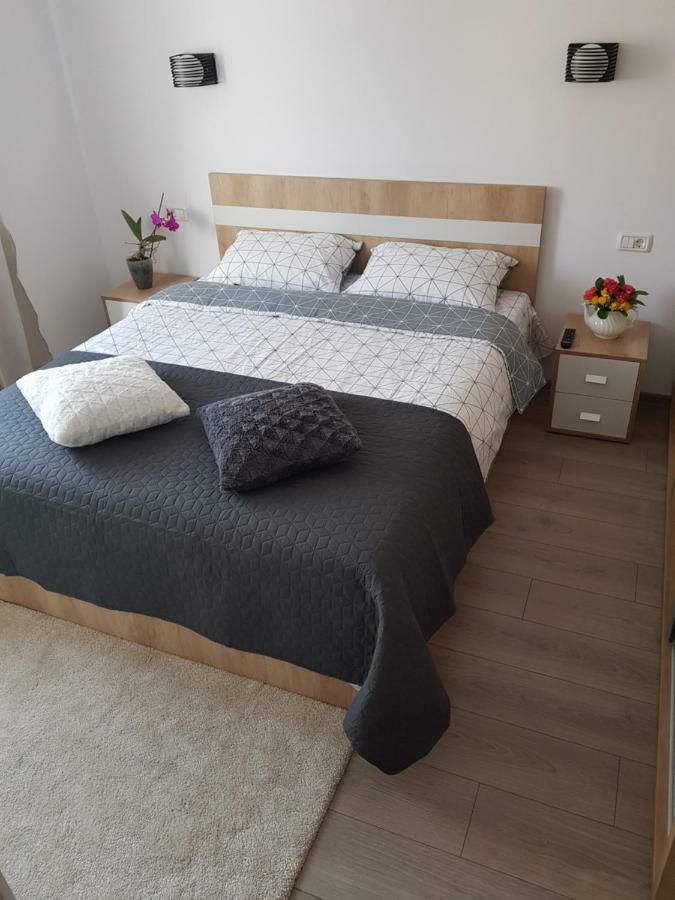 Năvodari Apartament Karina מראה חיצוני תמונה
